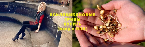2c-b Алексин