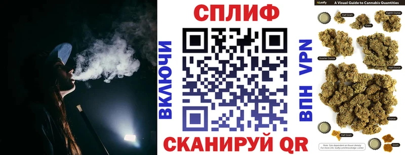 Бошки Шишки ГИДРОПОН  как найти наркотики  hydra ссылки  Мураши 